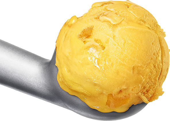 10501 Mangosorbet 5 liter.png